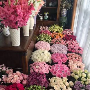 A级北美冬青基地鲜花直发 包邮 北美冬青