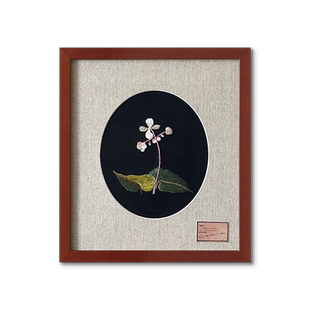 植物标本刺绣复古美拉德色系实木框绣品装饰卧室客厅小众中古挂画