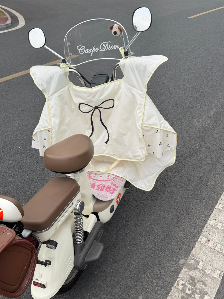 电动车挡风被夏季防晒四季通用2025新款防晒防水薄款防风遮阳罩,电动车/配件/交通工具,电动车挡风被,淘宝优惠券,粉丝福利购,淘宝优惠卷