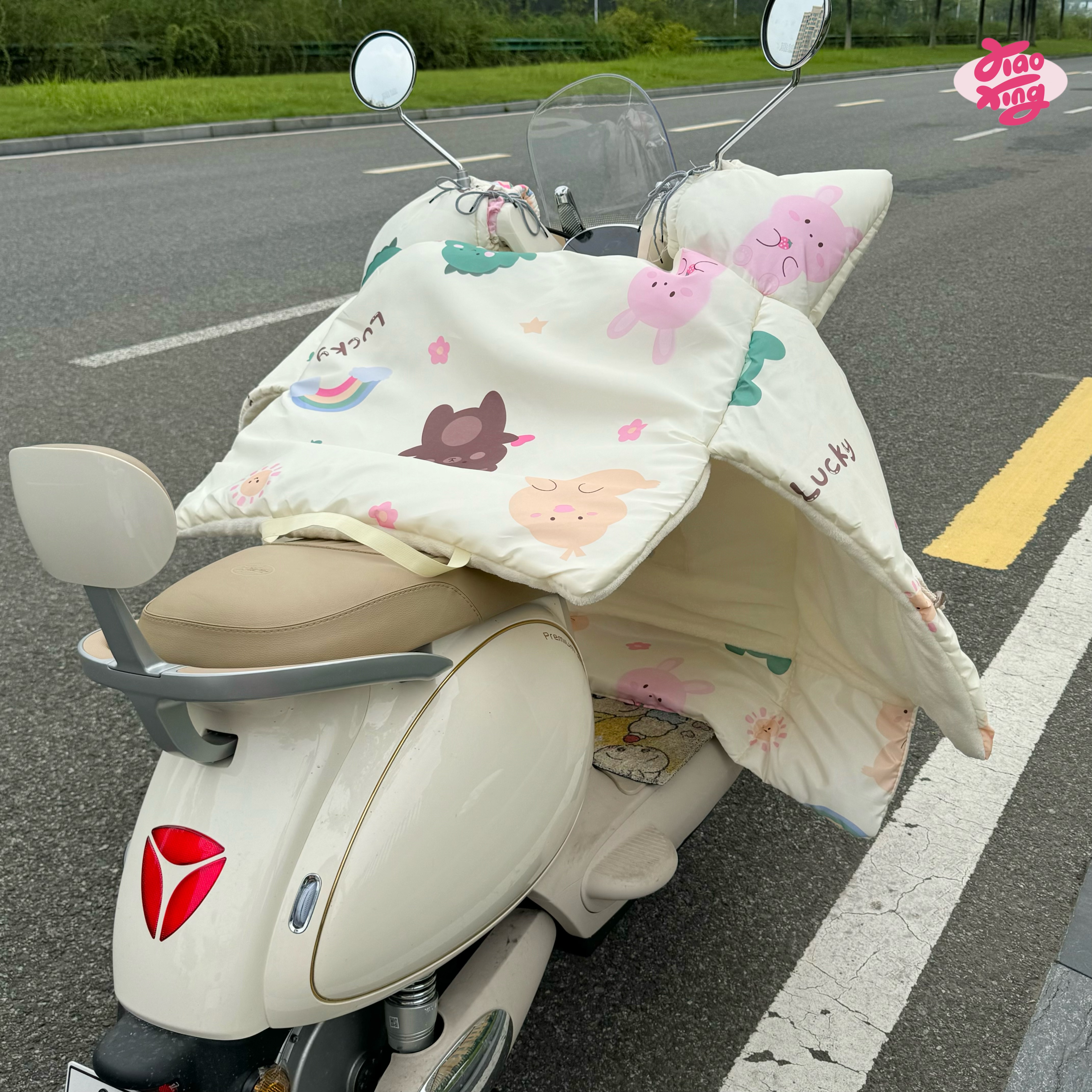 电动车挡风被冬季加厚加宽双面防水防寒防风罩电瓶车冬款2024新款