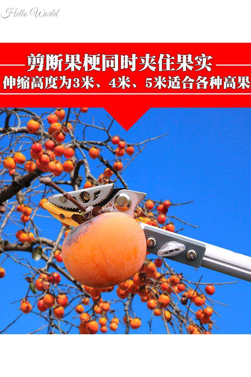 。摘枇杷神器采摘伸缩杆琵琶竿工具高空摘果器水果杨梅李子桃子网