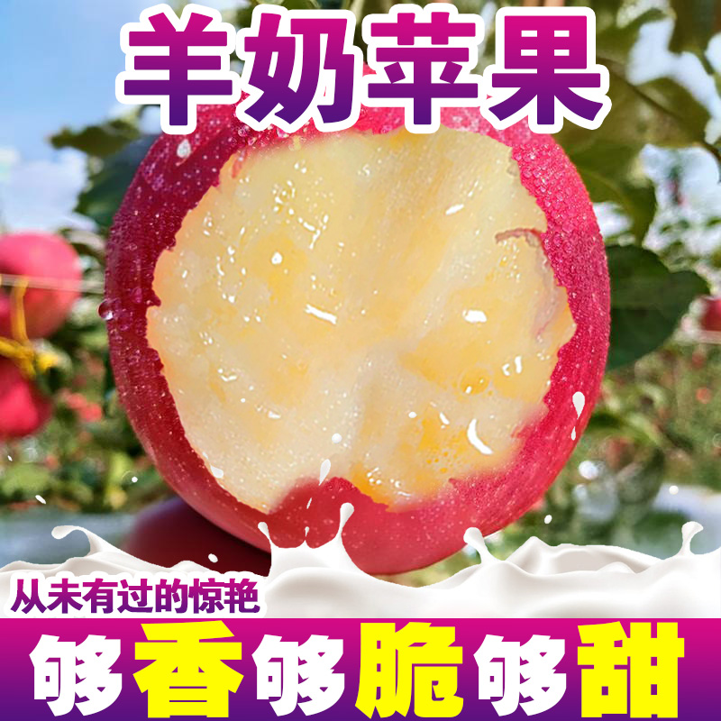山西万荣羊奶苹果脆甜爽口礼盒装