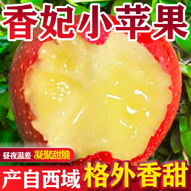 稀有新疆香妃小苹果香甜红富士