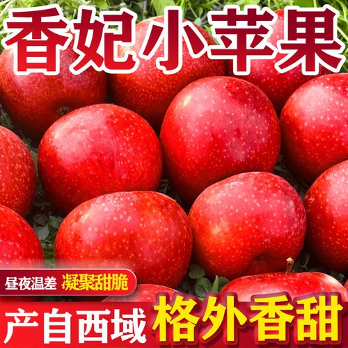 【稀有鲜果】新疆香妃小苹果应当季脆甜红富士新鲜水果礼盒装整箱