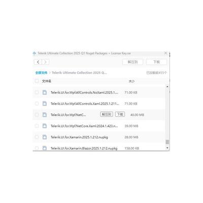 Telerik Ultimate 2025 Q2 Nuget