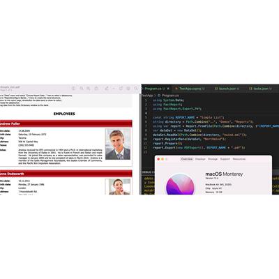 FastReport.Core.Skia的时代开始了，Win