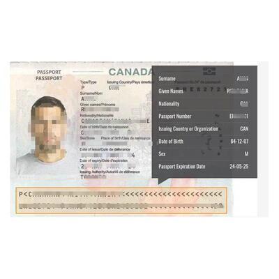 Dynamsofts Passport MRZ Scanne