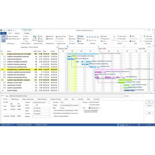 Rillsoft Project 9.0 项目管理软件：高效