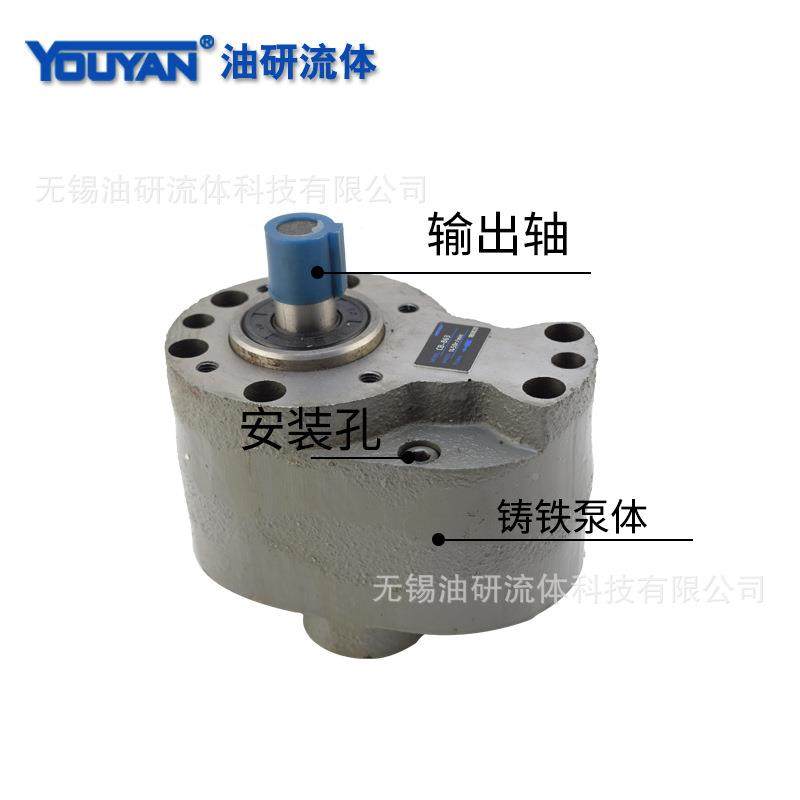 CB-B1/0齿轮泵CB-BM液压油泵LWBZ64/16/2/25/32/40//50/063/801YT