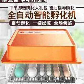 厂销新品新品一望孵化器全自动鸡鸭鹅孵化机智能孵蛋器家用小型孵怎么样,好用不?