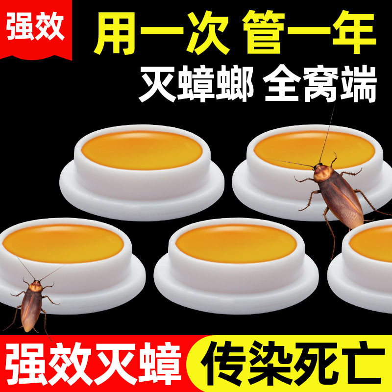 蟑螂药家用一窝端屋神器灭大小通杀饵胶厨房卧室捕捉器无毒除杀死