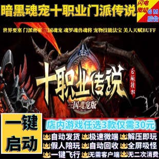 傳奇單機(jī)電腦版 十職業(yè)傳說(shuō)三國(guó)魂寵暗黑多大陸假人gm后臺(tái)微端聯(lián)機(jī)