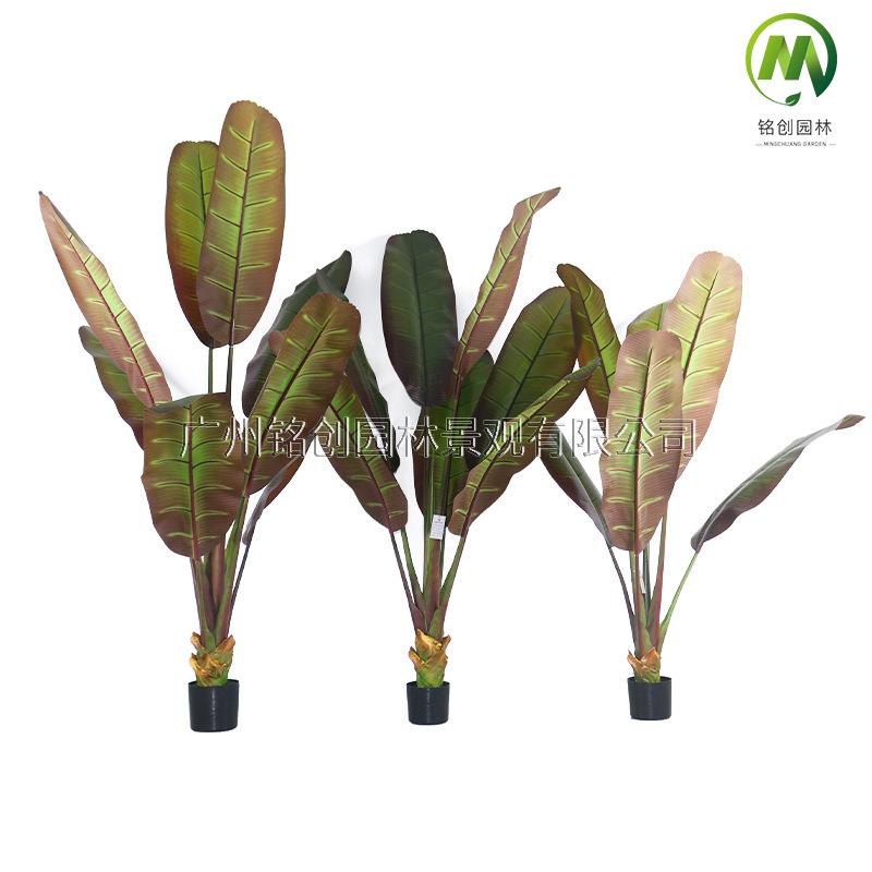 新品北欧大型落地绿植象腿芭蕉树大叶片热带雨林阔叶仿真植物