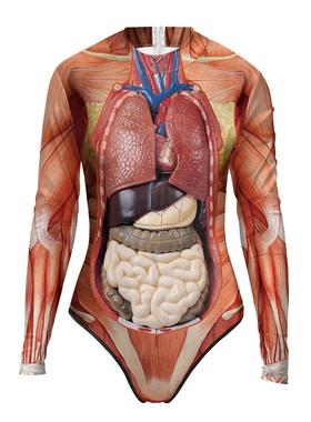 correct anatomy swimsuit d jumpsuit human halloween