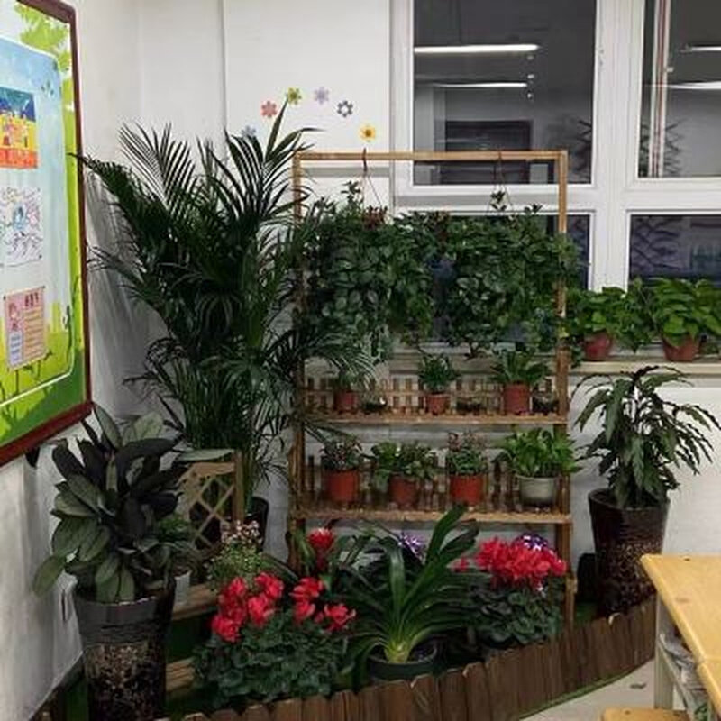 可弯曲花园围栏弧形栅栏草坪围挡围栏装饰防腐木篱笆花坛围边栅栏