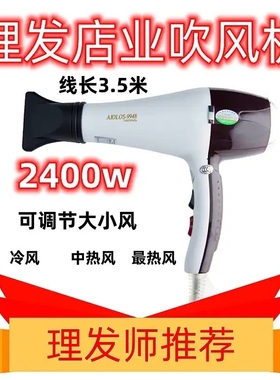 国宏风神9948吹风机大功率发廊家电吹风2400W用负离子不伤发