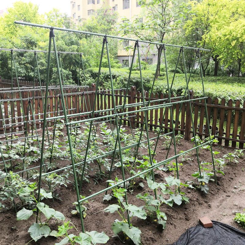 番茄架子西红柿种植架种菜黄瓜搭架植物花架子室外爬藤支架支撑杆