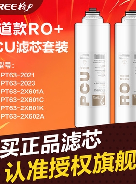 格力净水器滤芯WTE-PT63-2X601A/2021滤芯RO反渗透PCU滤芯PCU滤芯