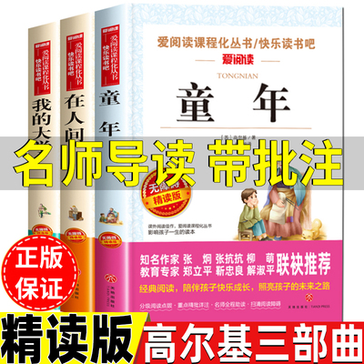 童年在人间我的大学名师批注版