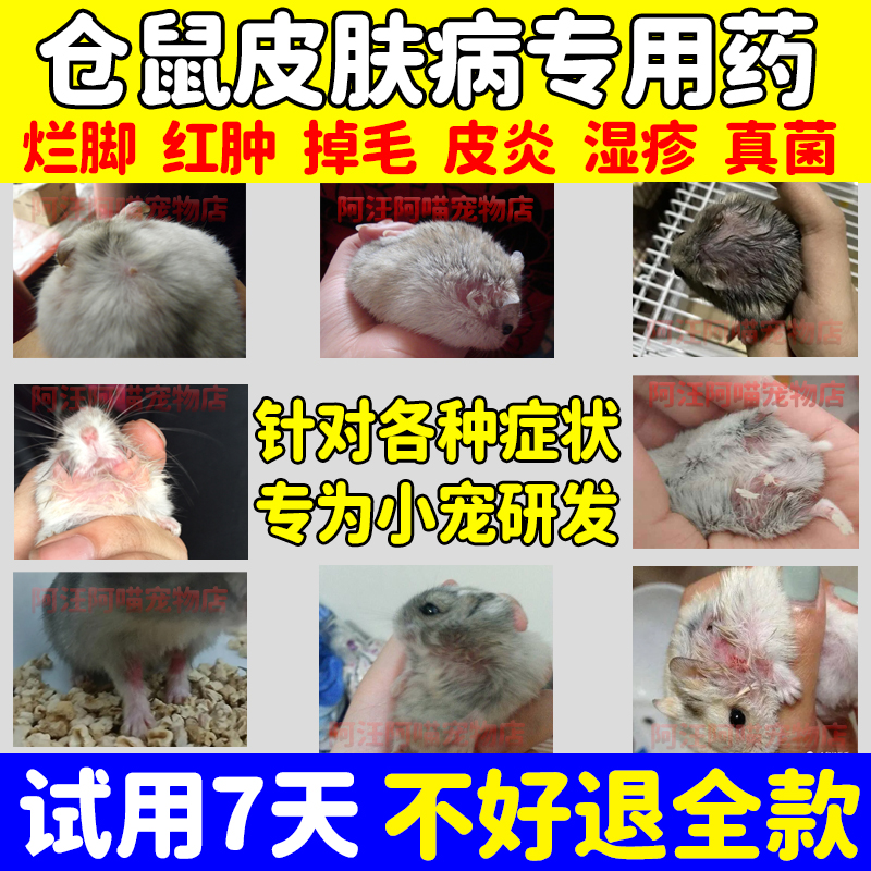 仓鼠皮肤病药神仙水仓鼠治疗真菌感染除臭驱虫喷雾剂仓鼠常用品药 宠物/宠物食品及用品 皮肤喷剂 原图主图