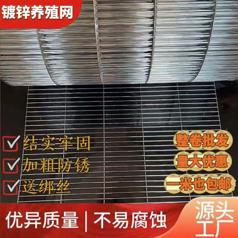 长孔养殖网镀锌铁丝网鸽舍u防护围栏网家用鸡兔鸽笼鸟笼网宠物网