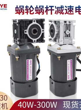 220V 60w90w120w200w250wD调速电机配蜗轮减速机RV30直角中空马达