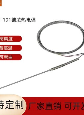 K型铠装热电d偶WRNK-191电热偶针可弯曲Pt100/E/J/T温度传感器探