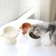 双耳猫碗猫咪喝水用斜口碗猫食盆狗食盆陶瓷宠物碗狗碗 古典美学