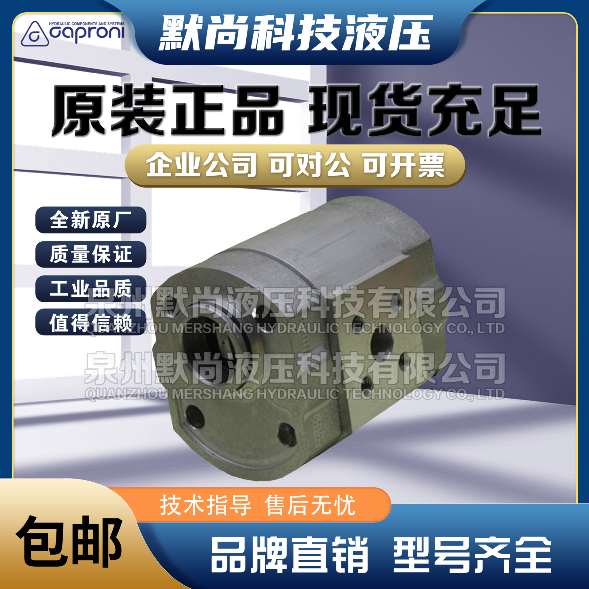 卡普罗尼Caproni齿轮泵10A4.2X302B适用于林德叉车1168和372车型