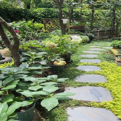 青石板汀步庭院踏步花园