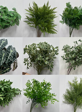 婚庆花艺绿色仿真树叶植物热带鸭掌木玉兰叶婚礼拍照造景摆拍绿植