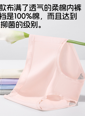 Lee李牌抗菌舒适全棉透气吸汗无痕高弹简约四季款女士三角内裤