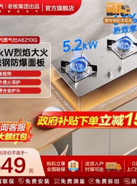 名气不锈钢燃气灶A6210G天然气液化气大火力脉冲点火家用双灶台