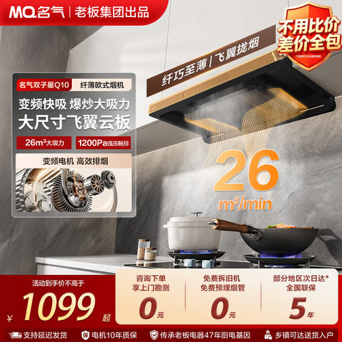 名气欧式双子星油烟机瞬吸自清洁