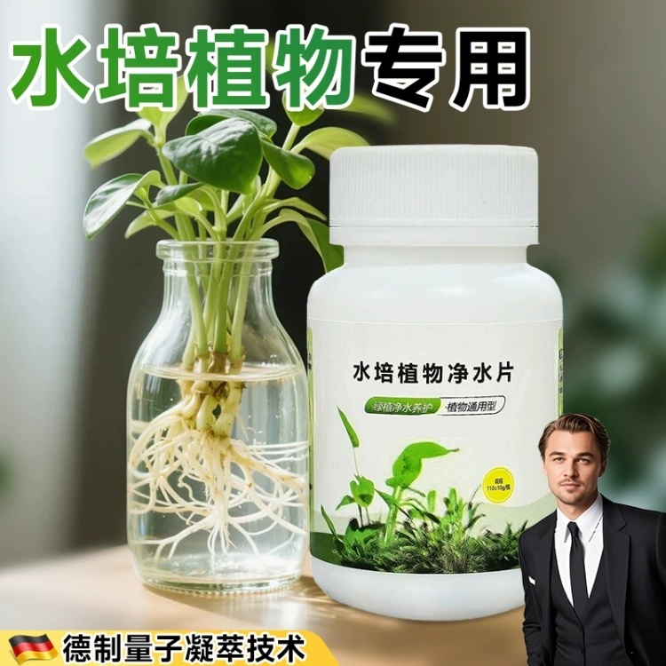 水培植物净水片除臭杀菌消毒富贵竹碗睡莲专用净化水质鲜花保鲜片