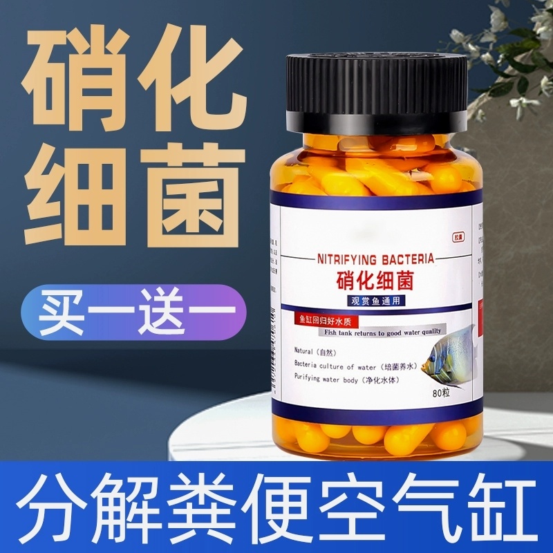 硝化细菌鱼缸用专用胶囊净水剂颗粒活菌干粉水质稳定净化水族鱼用