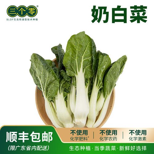 【百果园】三个零奶白菜3斤云南叶菜 生态种植新鲜采摘 顺丰包邮