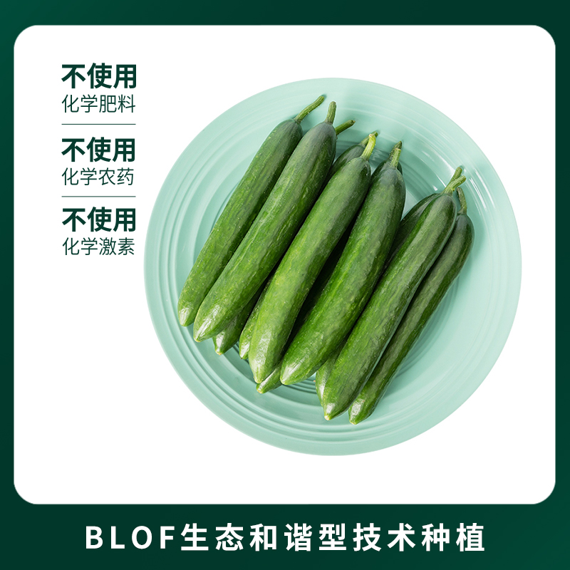 百果园三个零水果黄瓜新鲜爽脆