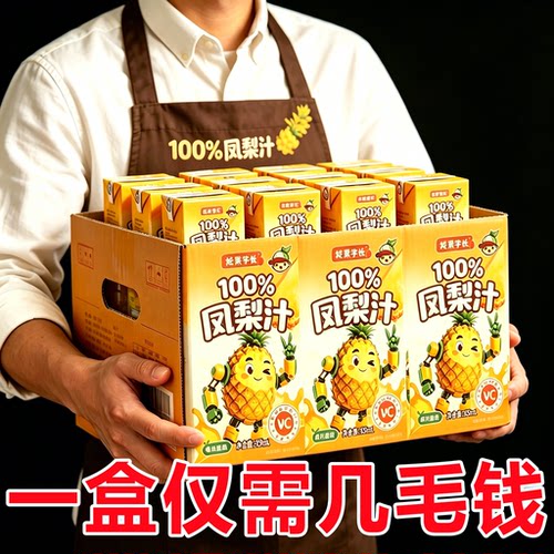 100%凤梨汁整箱250ml*20盒
