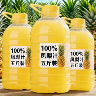 1.25L 特价 2瓶 家庭分享装 批发 100%凤梨汁饮料大瓶商超爆款