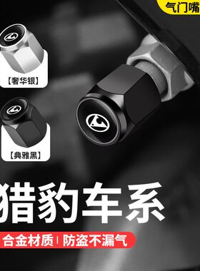 适用于猎豹CS10气门嘴帽 CS9 Q6 CS6汽车轮胎气门嘴芯帽气门帽盖