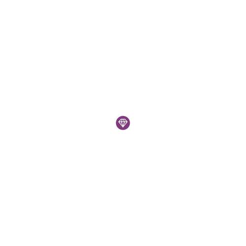 OneNoteGem Gem for OneNote 202