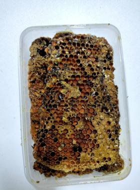 花窝块生蜂窝蜜带花ZOP粉蜂窝蜜可以咀嚼和食用纯然老野窝蜂蜜野
