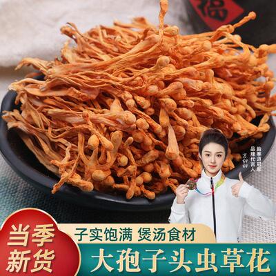 草花干货云特产新南鲜子头菌菇汤蘑菇干香菇孢菌类菇虫类煲AIF汤