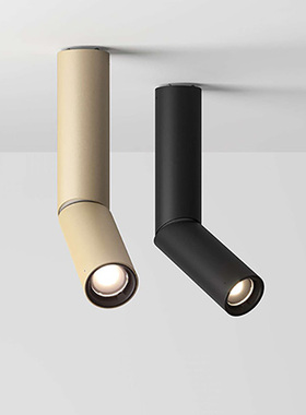 意大利Luceplan 管状E06吸顶灯 创意设计进口