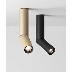 意大利Luceplan 创意设计进口 管状E06吸顶灯