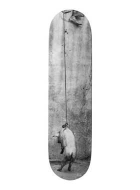 比利时The Skateroom装饰滑板Roger BALLEN罗杰拜伦Hanging Pig