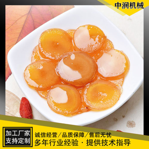 人参蜜片姜片浸糖上糖设备