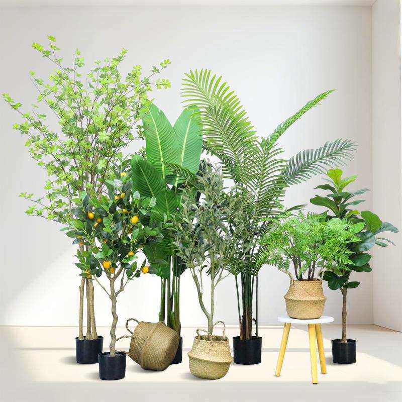 仿真绿植仿真植物室内办公室落地装饰摆件仿真花吊钟树龟背竹造景