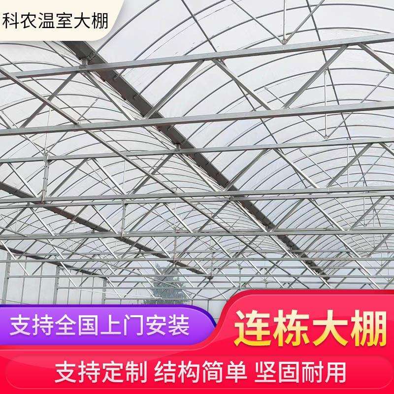 连栋温室大棚蔬菜水果花卉暖棚养植栽培钢架农业遮阳遮阴大棚安装